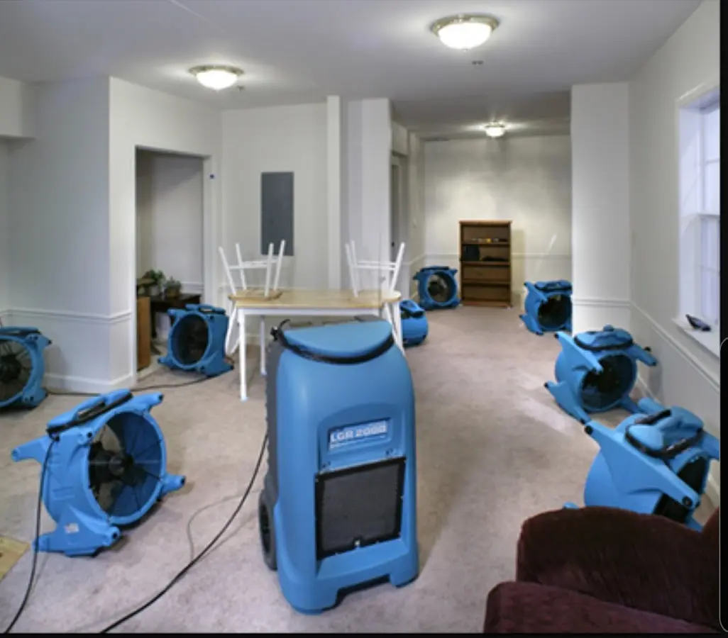Air movers and dehumidifier setup for Water Extraction & Removal in Sidney